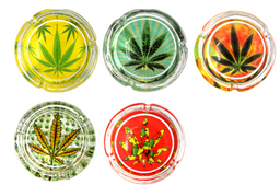 3.5" Glass Ash Tray 6ct Display | Leaf #5