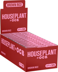 24CT House Plant OCB Brown Rice Rolling Papers