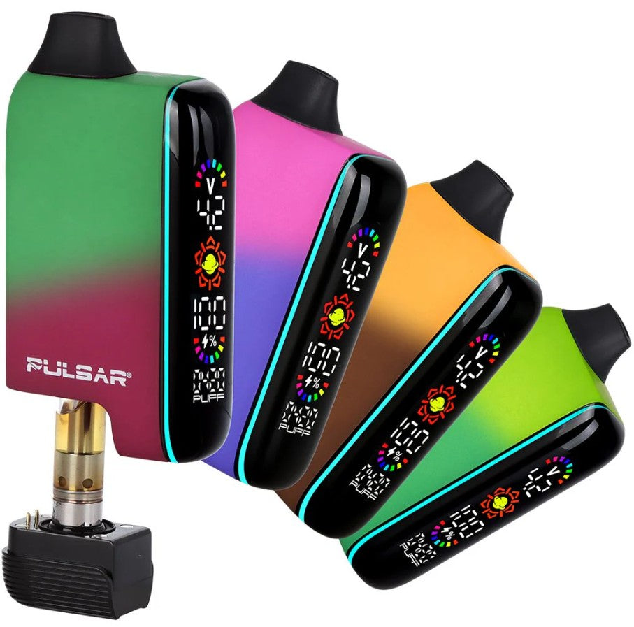 Pulsar DL 5.0 8ct Display | Assorted Styles